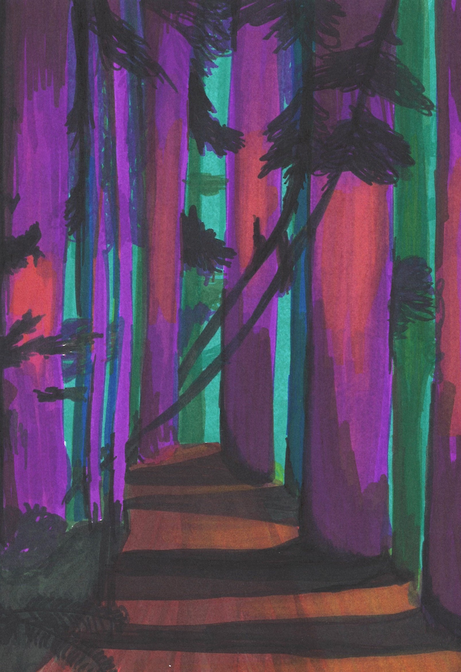 Marker drawing of trees at night