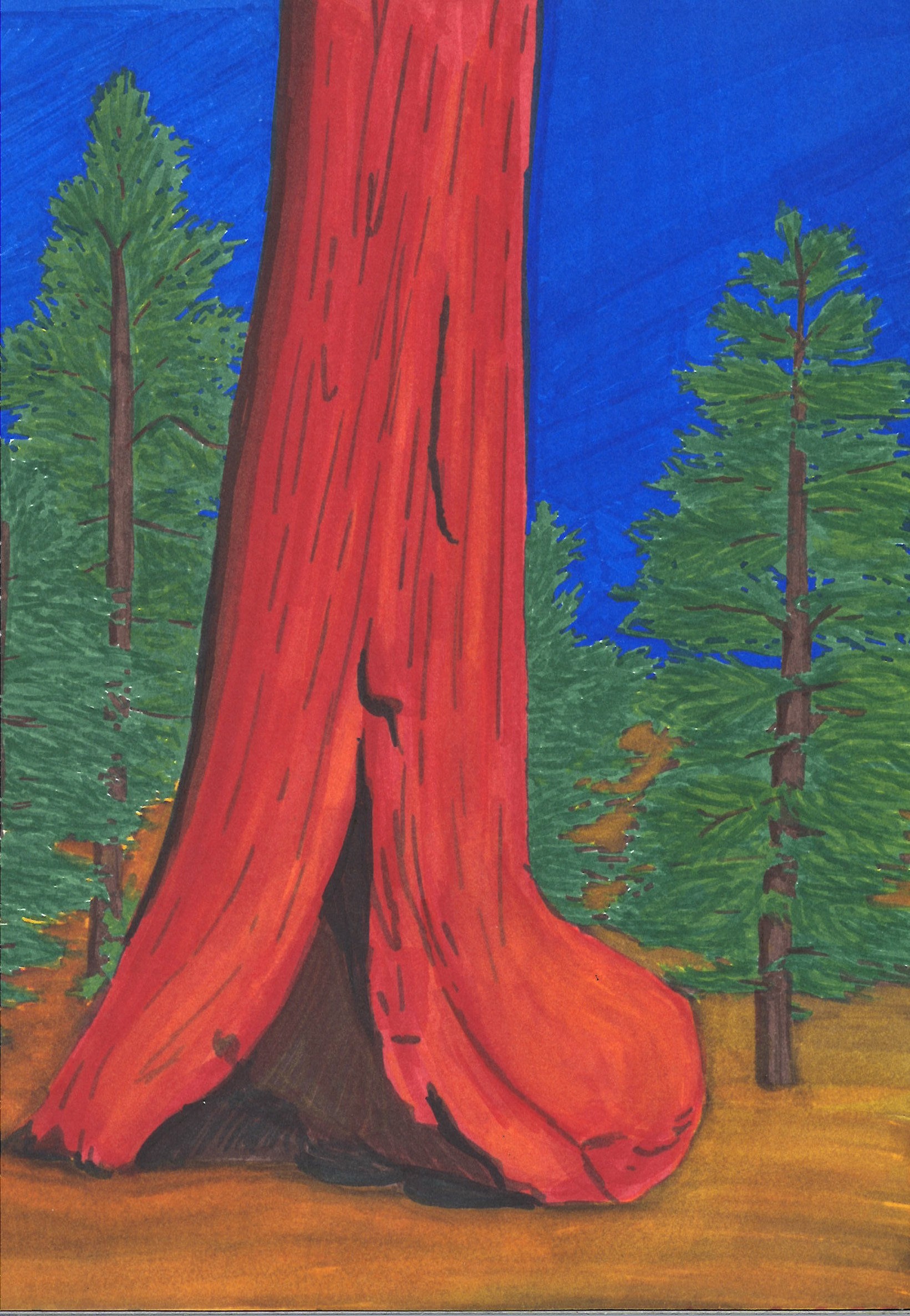 marker drawing of trees